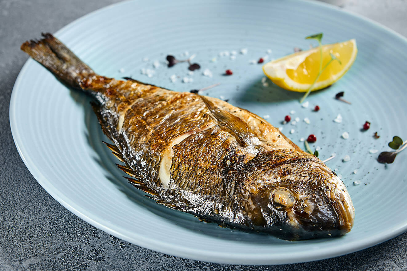 Grilled Trout